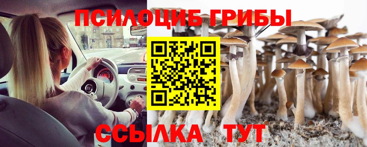 Псилоцибиновые грибы Cubensis Тамбов