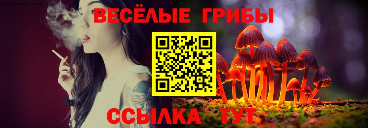 Галлюциногенные грибы Psilocybe  Псилоцибиновые грибы мицелий  где можно купить наркотик  Тамбов  Вход с VPN 