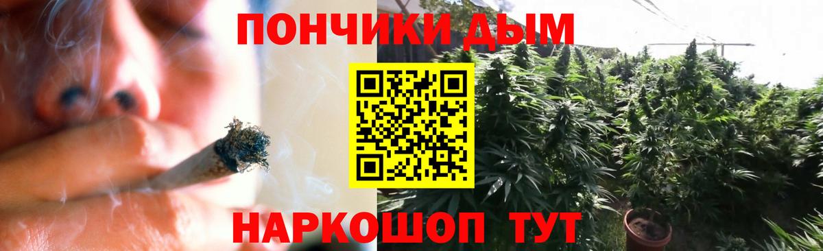 Бошки марихуана Amnesia  Марихуана VHQ  Тамбов  Вход с VPN  Бошки марихуана SATIVA & INDICA 